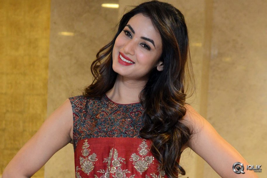 Sonal-Chauhan-at-Dictator-Movie-Success-Meet